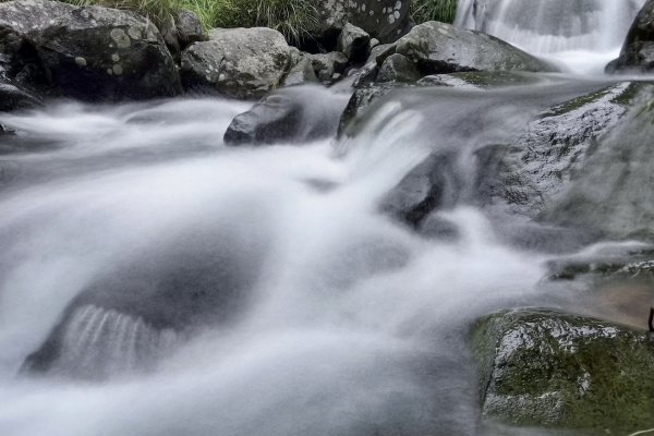 草山避暑3081670