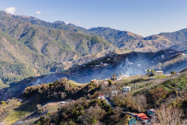 福壽山千櫻園櫻花季初開2717418