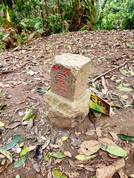 小百岳集起來-向天湖山2183013