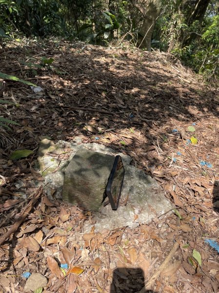 魚猴13連峰2757355