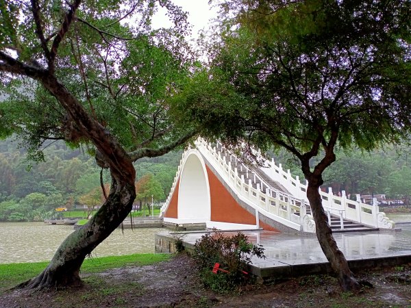 大湖公園 (防災公園)【走路趣尋寶】1897941