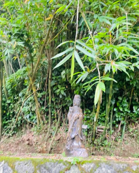 尋訪四國八十八番 石佛（藥師釋迦如來）觀音山石佛-弘法大師-水濂洞山-林安泰古宅2814365