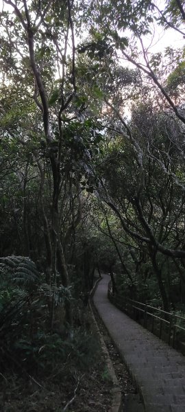 20211219 小百岳-台北大崙頭、尾山3056347