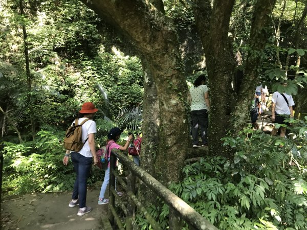 青山瀑布玩水去1024244