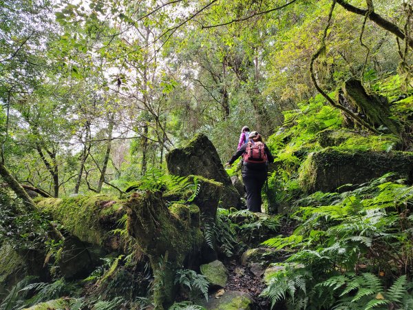 福巴越嶺國家步道2364488