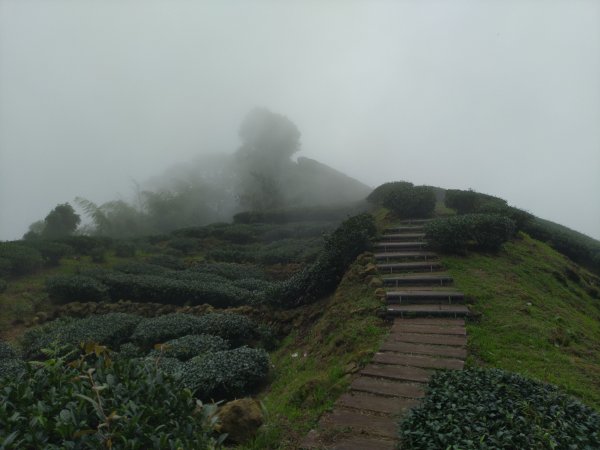 2023-05-28 雲嘉六連峰2166206