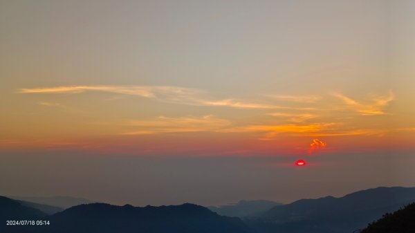 雲山水花鳥蝶 - 天龍國阿伯的日常7/18 & 21、22、292553974
