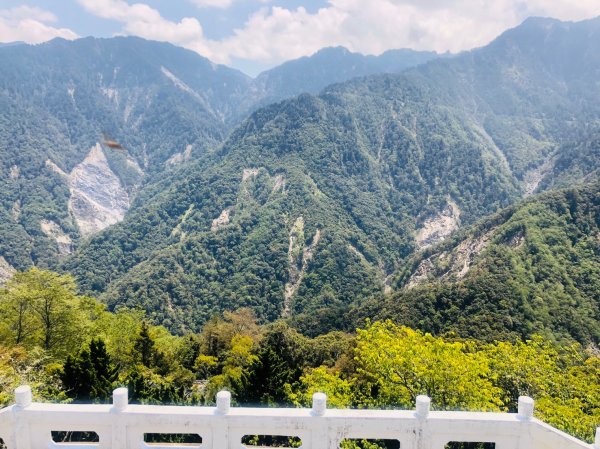 1090413中之關天池-初嚐梅子雞940944