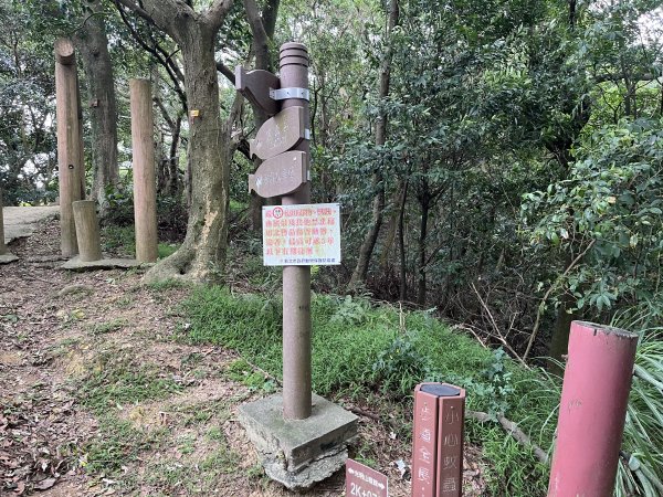 [微笑山線_第二段] 2025_0720 大棟山系_百年大榕樹2843324