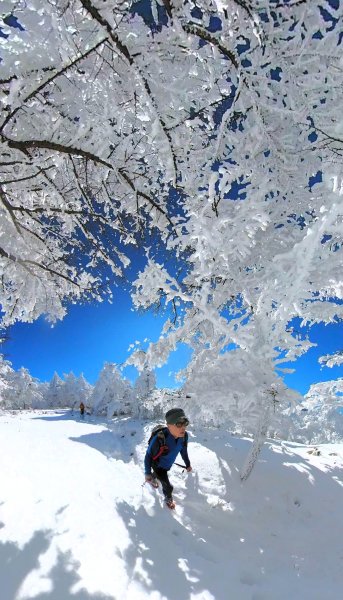 超綺麗夢幻的粉雪奇緣山行記在日本名古屋南沢山2781218