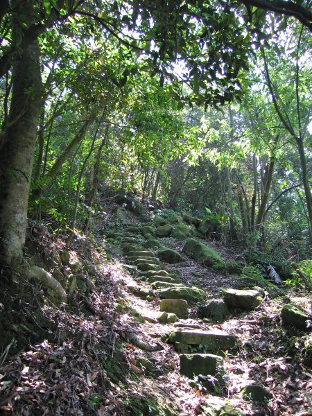 深坑向天湖古道1957674