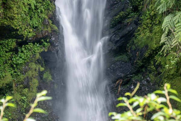 九寮溪步道與梅花湖2927067