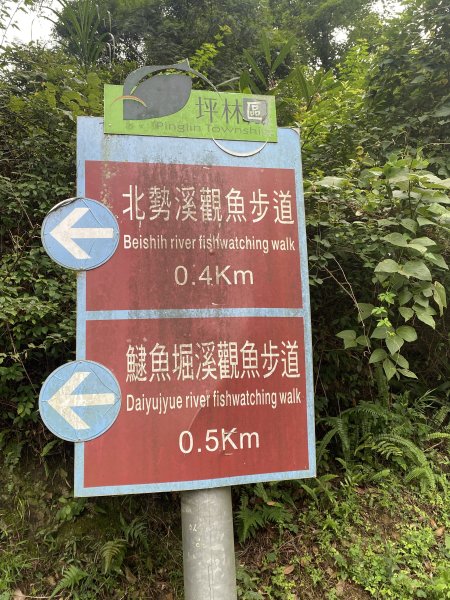 【淡蘭古道尋寶任務】淡蘭南路第四段｜𩻸魚堀溪自行車道至縣界公園2926371