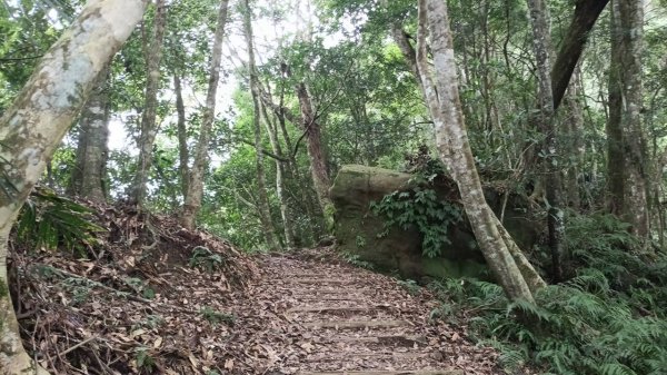 20251004 馬那邦山 - 珠湖 登山口2904843