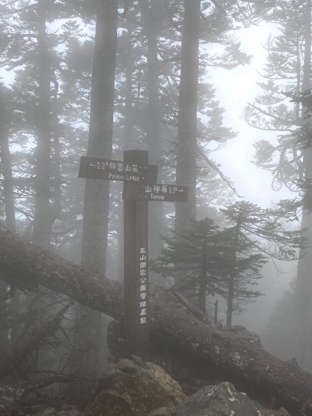 20200310-0312玉山前五峰877382