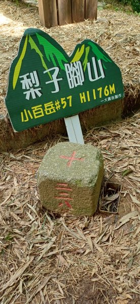 梨子腳山.嘉義梅山2823387