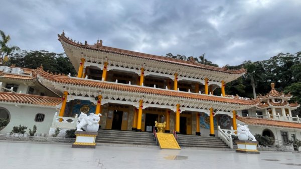 青潭越嶺政大-賞梅花🌸安坑🐦嘴四秀2691663