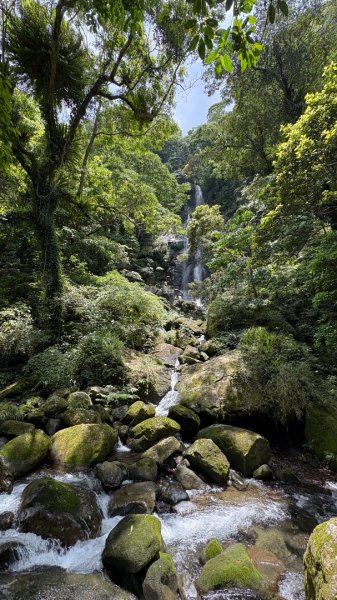 戲水（鴛鴦2786734