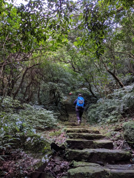 【台北】陽明山東西大縱走 - 東段829436