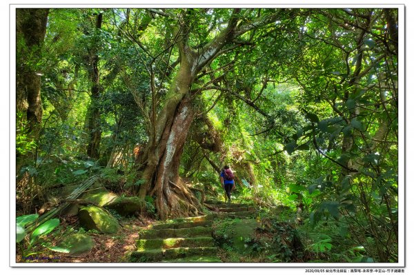 北投鳳梨宅-永春寮-中正山-竹子湖連走1092794