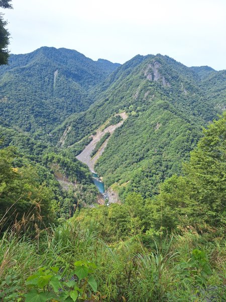 司馬庫斯神木步道順遊司立富瀑布11508023116741