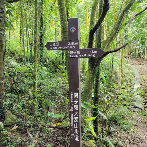 關仔嶺大凍山（小百岳）2305827