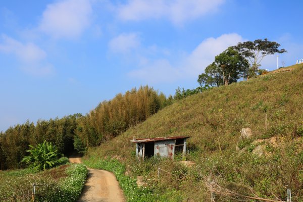 苗栗泰安~美景來自於堅持守護~烏嘎彥竹林872383