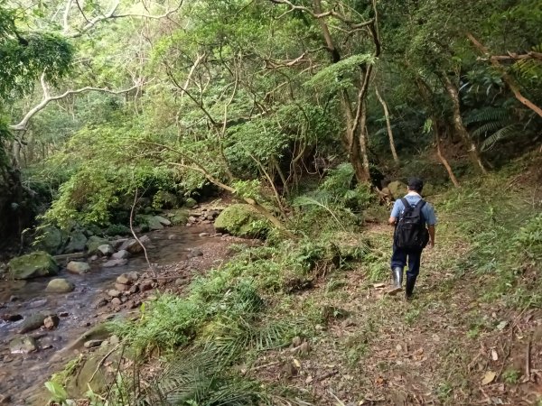 貢寮區龍洞坑古道+苦苓嶺+南雅山+海園古道O型2954609
