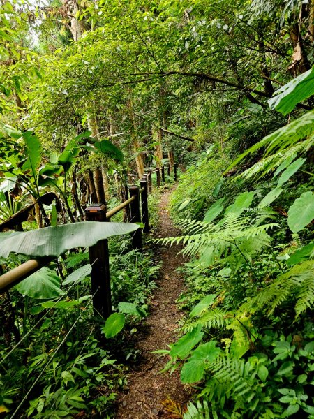 白蘭溪古道-2025森遊竹縣皮皮獅探險隊2895443