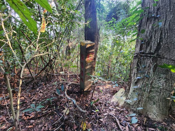 20241215富浪波山鹹菜棚街與打牛崎步道2691611