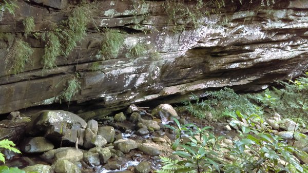 滑瀑岩洞、溪水清澈的基隆暖東峽谷步道974254