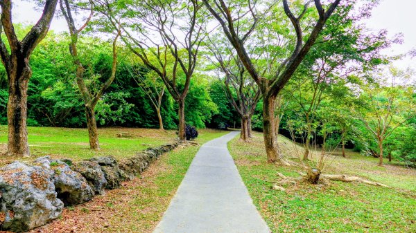 大崗山,盤龍峽谷2954501