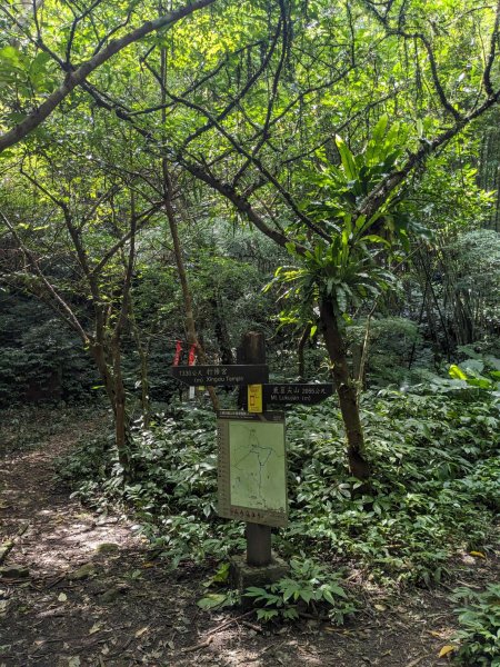 20230715 白雞三山 (鹿窟尖山-雞罩山-白雞山)，高CP好吃的食三麵屋2219318