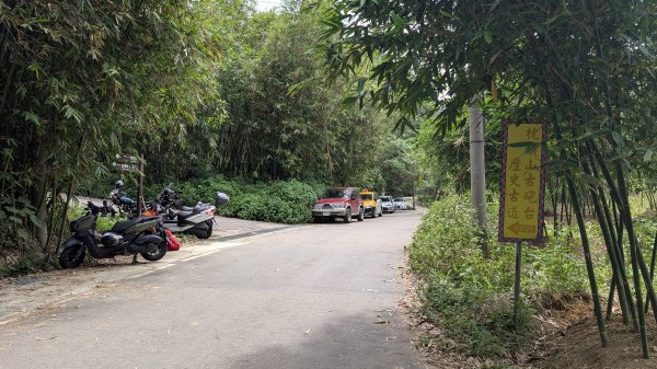 115.05.23枕頭山-枕頭山西峰-薑母島之旅3061267