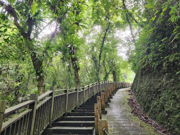 藤坪步道2412281