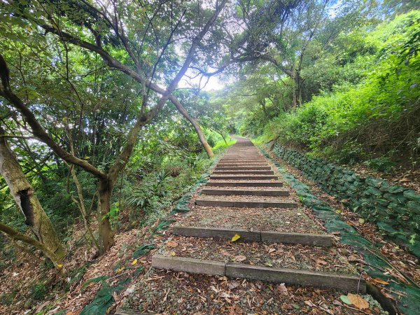 20250921學田山王田山大肚山大尖山竹坑山2928493
