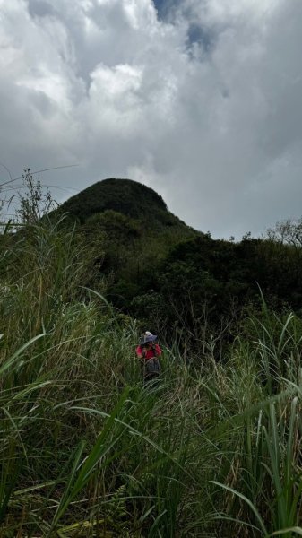 石龜山、叢雲山O走