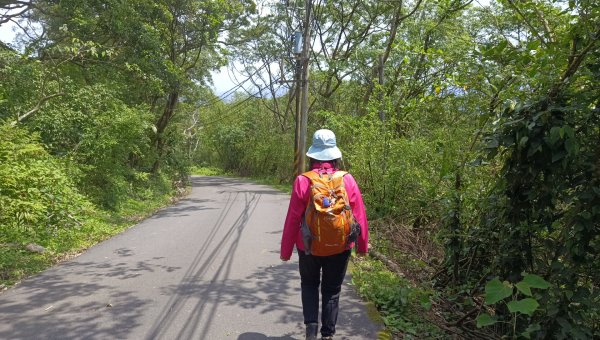 (姨婆趴趴走)第五十集:新北樹林大同山、青龍嶺、大棟山諸峰連走2751631