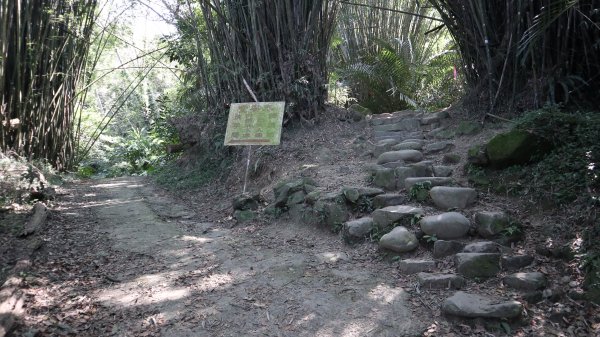 溪洲山登山健行趣(小百岳26號)2069699