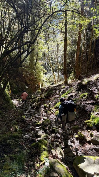 中央尖山 2025 11/7 三天兩夜2935760