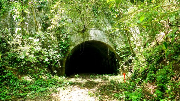 畝畝山。又上說2768127