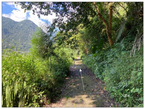 東松鶴山～八仙山 (台中 和平)2940419