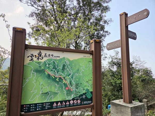 【嘉義梅山】雲嘉五連峰縱走3022288