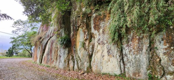 桃園東眼山，親子峰，尾寮崎古道，小角仔古道，街口溪步道，三峽阿屘尖，神木尖，牛角尖，牛角坑山2098468