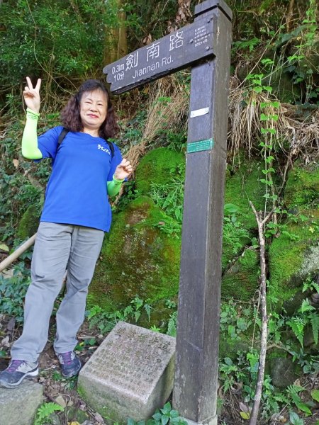 【臺北親山拓印趣】大崙頭尾山親山步道1122517