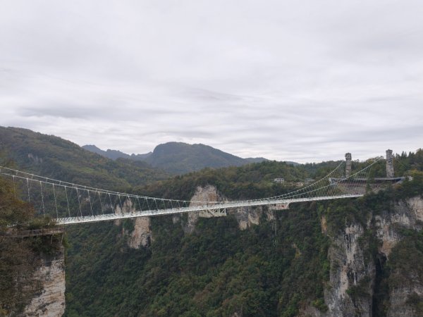 2025/11/11日張家界大峽谷2940999