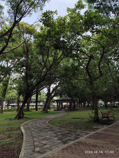 大安森林公園、永康公園、大港墘公園 - 內科嘉年華會 戲曲•特技之夜2577758