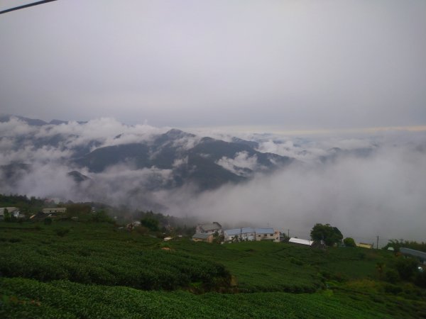 阿里山-石棹封面