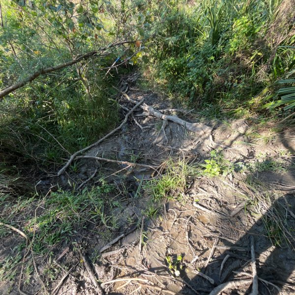 20251210_大山母山（屏東小百岳）2968641