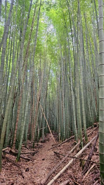 20260103民都有山北峰-主峰-西峰2977638